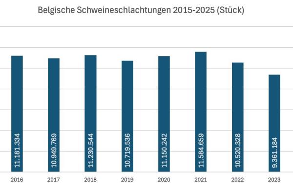 Belgische Schlachtzahlen 2025: Schweine stabil, Rinder rückläufig, Geflügel auf Rekordniveau