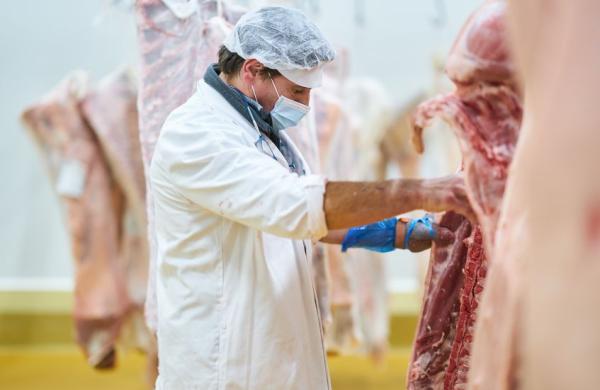 une nouvelle norme pour une viande de porc de qualité et savoureuse