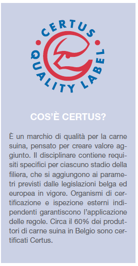 Certus IT.PNG