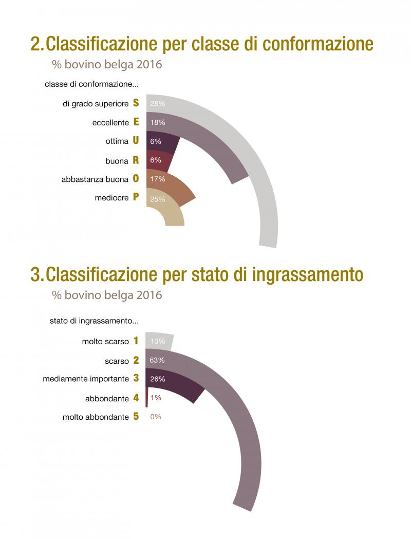 Classificazione di conformazione e di ingrassamento_0.jpg