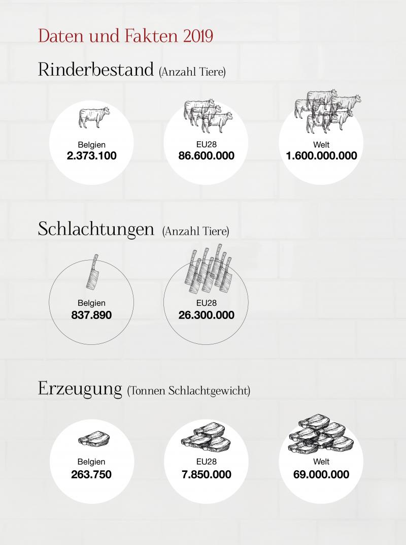 Daten und Fakten 2019.jpg