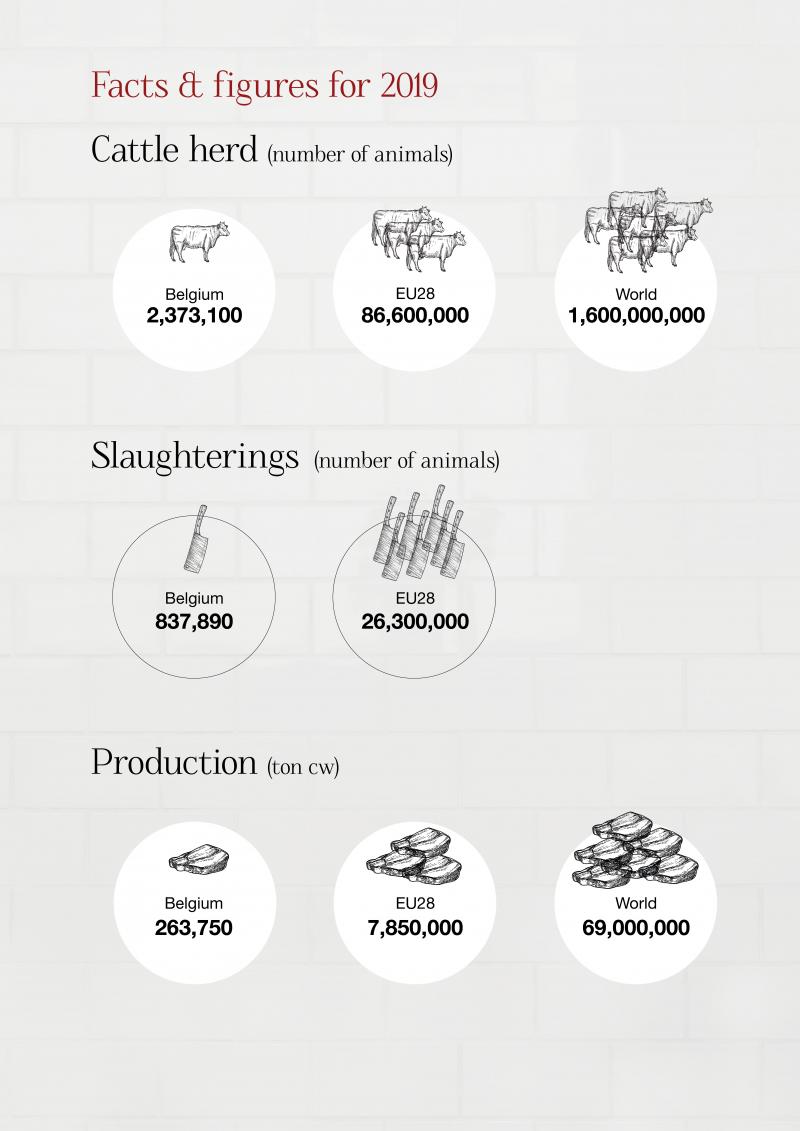 Facts and figures for 2019.jpg