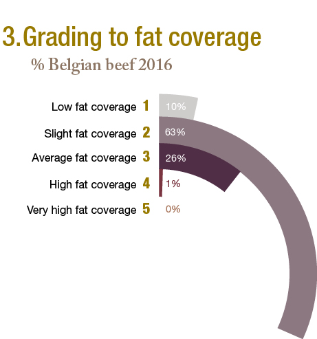 Grading to fat coverage.jpg