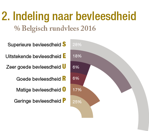 Indeling naar bevleesheid.jpg