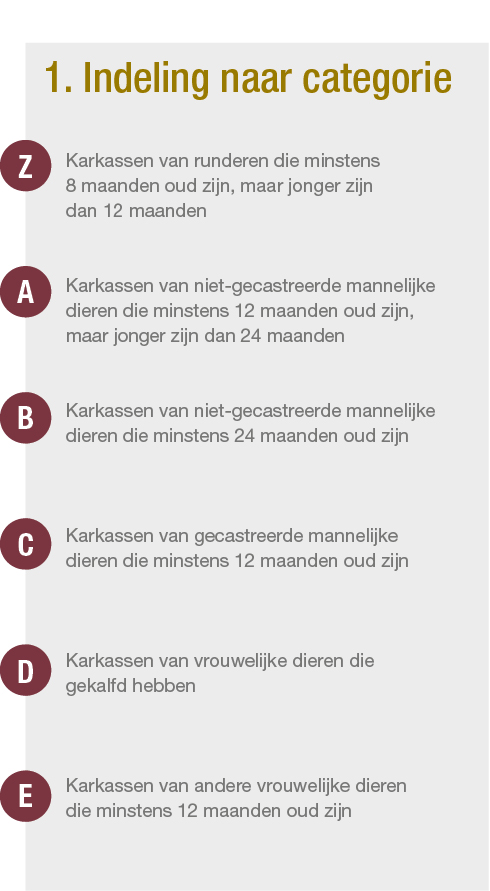 Indeling naar categorie.jpg