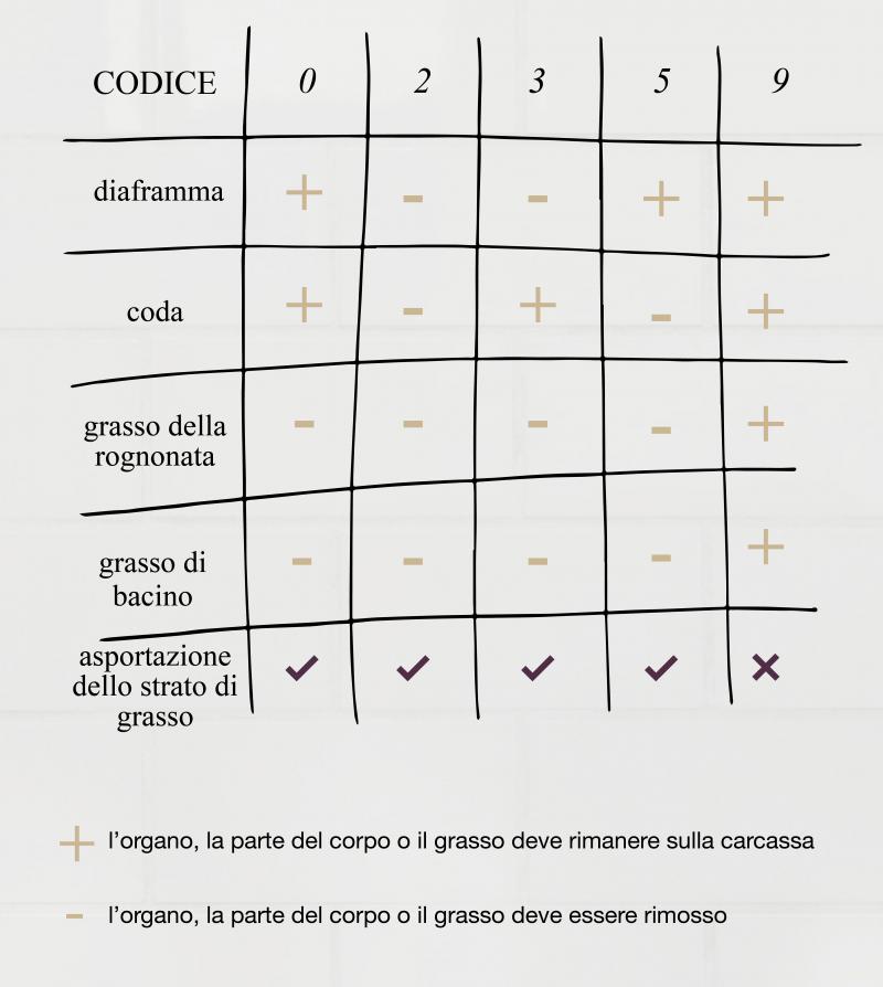 codice.jpg